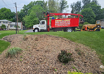 Chop & Chip Tree Service LLC Jersey City Tree Services image 1