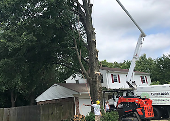 Virginia Beach Tree Services Chop & Drop Tree Service LLC
