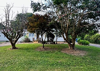 Virginia Beach Tree Services Chop & Drop Tree Service LLC