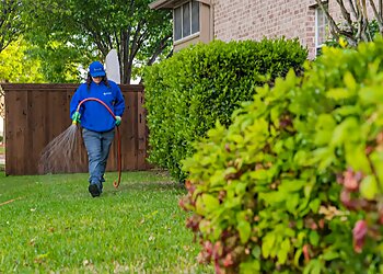 Frisco Lawn Care Services Chorbie