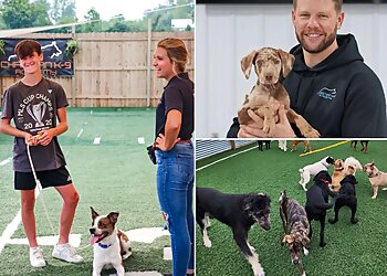 Columbus Dog Training Christian K-9 Academy