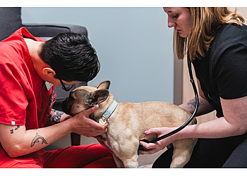 Westminster Veterinary Clinics Church Ranch Veterinary Center