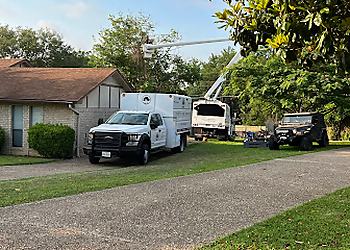 Chuy's Tree Service Waco Tree Services image 1