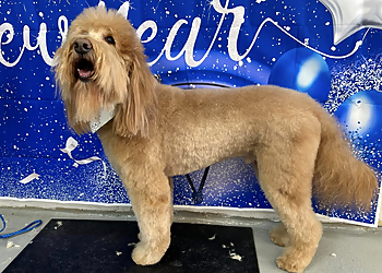 Lakewood Pet Grooming Cici's Pet Parlor