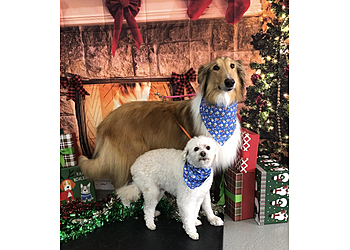 Lakewood Pet Grooming Cici's Pet Parlor