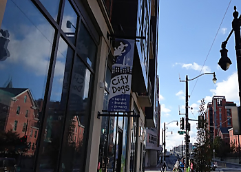 City Dogs H Street NE Washington Pet Grooming image 1