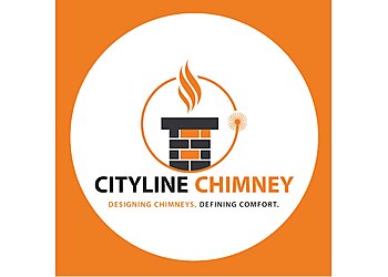 CityLine Chimney Detroit Chimney Sweep image 1