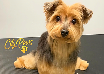 Elizabeth Pet Grooming City Paws Pet Grooming & Daycare