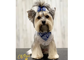 Elizabeth Pet Grooming City Paws Pet Grooming & Daycare