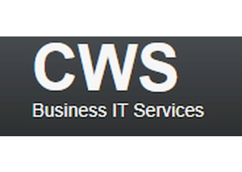 City Website Services Inglewood Computer Repair