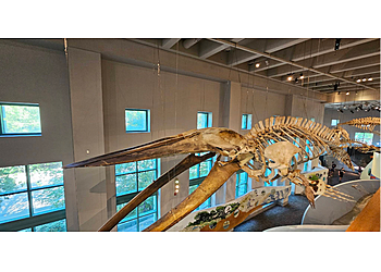 Raleigh Museums City of Raleigh Museum