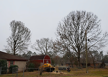 Beaumont Tree Services Cjs Tree Service Professionals, LLC