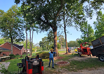Beaumont Tree Services Cjs Tree Service Professionals, LLC