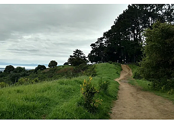 Berkeley Hiking Trails Claremont Canyon Regional Preserve