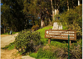 Claremont Canyon Regional Preserve Berkeley Hiking Trails image 1