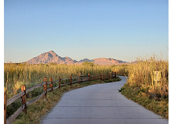 Las Vegas Hiking Trails Clark County Wetlands Park