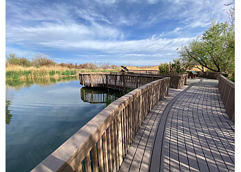 Las Vegas Hiking Trails Clark County Wetlands Park