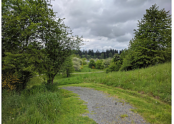 Kent Hiking Trails Clark Lake Park