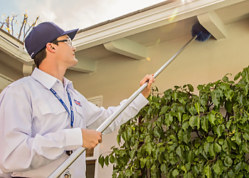 Lancaster Pest Control Companies Clark Pest Control