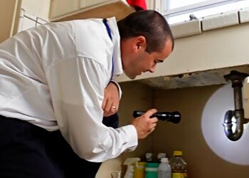 Salinas Pest Control Companies Clark Pest Control