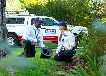 Clark Pest Control - Santa Clarita, CA Pest Control Companies - Service Image