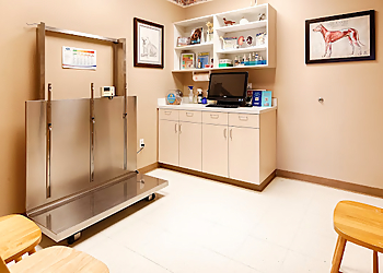 Claws & Paws Veterinary Hospital - Pearland, TX Veterinary Clinics - Clinic Interior Image