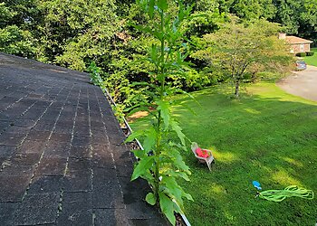 Louisville Gutter Cleaners Claxton Gutter Cleaning