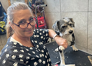 Hollywood Pet Grooming Clean Paws Pet Salon and Resort