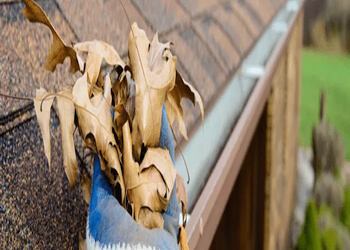 Columbus gutter cleaner Clean Pro Gutter Cleaning