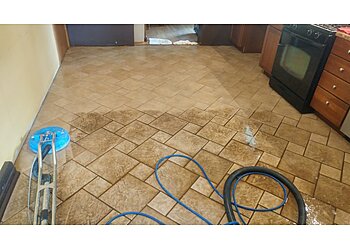 Rockford Carpet Cleaners Clean Transformations Carpet Cleaning