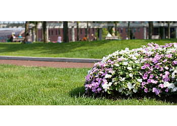 Clear Creek Landscaping Corp - Hialeah, FL Landscaping Companies - Service Image