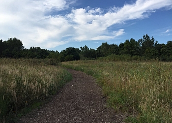 Cleveland Hiking Trails Cleveland Lakefront Nature Preserve