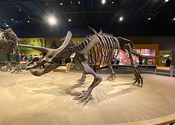 Cleveland Museums Cleveland Museum of Natural History