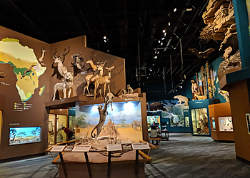 Cleveland Museums Cleveland Museum of Natural History