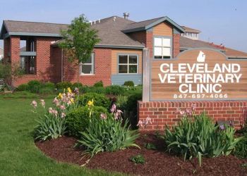 Cleveland Veterinary Clinic Elgin Veterinary Clinics