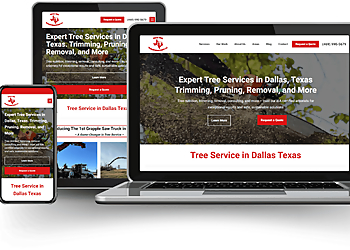 Click Wise Design - Allen, TX Web Designers - Service Process Image