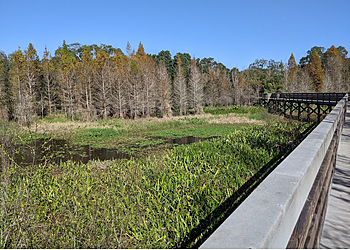 Clearwater Hiking Trails Cliff Stephens Park