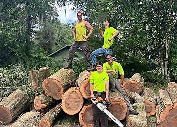 Gainesville Tree Services Climber Steve's Tree Care