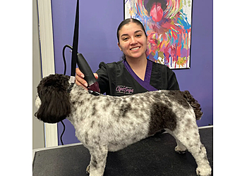 Paterson Pet Grooming Clips N' Snips