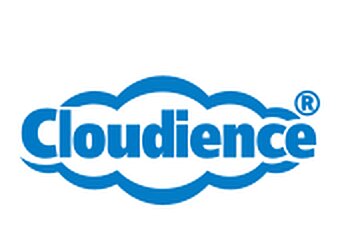 Chandler It Services Cloudience