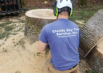Kent Tree Services Cloudy Sky Tree Service