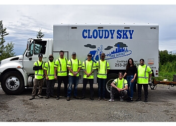 Cloudy Sky Tree Service Kent Tree Services image 1