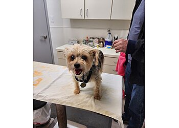 Garland Veterinary Clinics Club Hill Animal Clinic