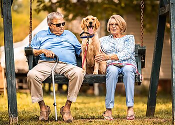 Waterbury Dog Training Coaching 4 Paws