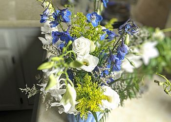 Cambridge Florists Coady Florist
