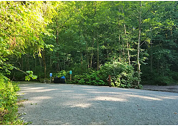 Bellevue Hiking Trails Coal Creek Natural Area