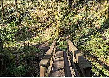 Bellevue Hiking Trails Coal Creek Natural Area