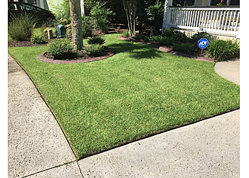 Charleston Lawn Care Services Coastal Turf