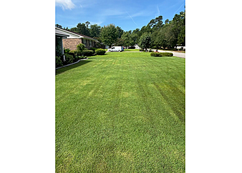 Charleston Lawn Care Services Coastal Turf