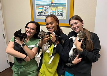 Jacksonville Veterinary Clinics Coastal Veterinary Hospital